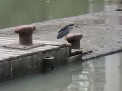 -苏州河梦清园环保主题公园