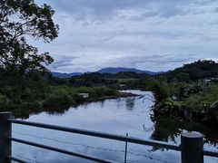-水库河鲜村