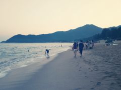 -西涌国际滨海旅游区