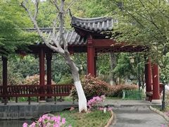 -武汉园博园(武汉自然博物馆)