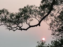 -广州市白云山风景名胜区