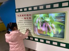 -上海昆虫博物馆