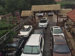 -高家大院烤全羊