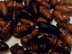 -小孙家厨(长春路店)