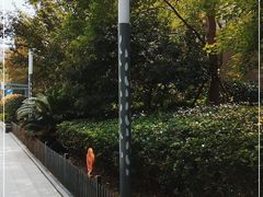 -万达广场(松江店)
