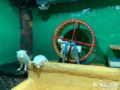 -大连圣亚海洋世界