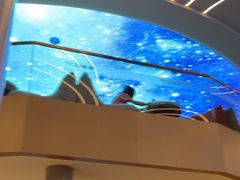 -浦乐汇·汤泉水世界