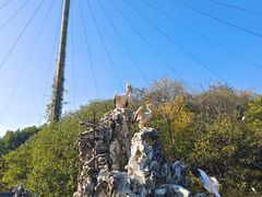 -合肥野生动物园
