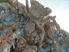 -四海蒸鲜蒸汽海鲜自助(北戴河店)