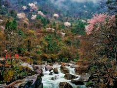 -白云源风景区