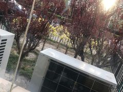 -管氏翅吧(广渠门店)