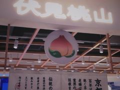 -武汉光谷K11