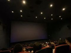 -飞扬影城(正佳IMAX店)