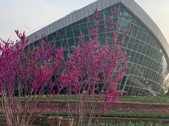 -石家庄市植物园