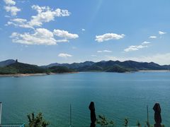 -望湖烤鱼