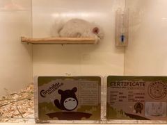 -龙猫仔乐园(惠福东路店)