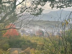 -塔川景区