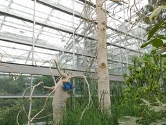 -南山植物园