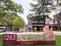 -华山263老字号品牌馆