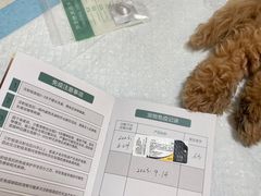 -半岛宠物医院24小时(西派城店)