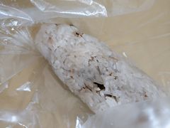 -殷姐糯米包油条
