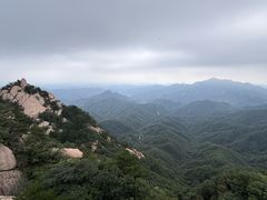 -六里坪国家森林公园