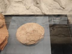 -温州博物馆