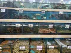 -秋姐美食店(旅游大道店)
