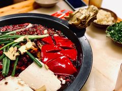 红锅-黄潇洒老火锅(九眼桥宏济巷店)