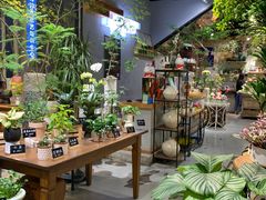 -弗劳尔花艺坊(龙涛店)