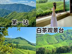 -阿露佳·舌尖上的安吉菜