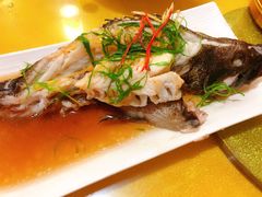 -鹭岛新泉客家菜·海鲜·融合菜(莲前店)
