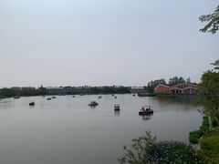 -上海长兴岛郊野公园