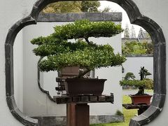 -扬州大运河文化旅游度假区·盆景园