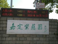 -嘉定紫藤园