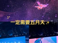-上海体育场