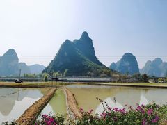 -明仕田园