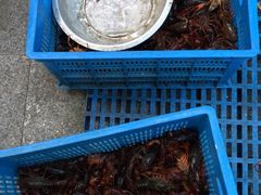 -日食记精菜馆(建邺万达店)