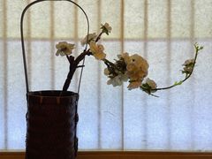 -千代御(工农大路店)