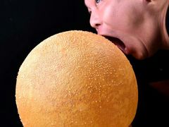 光头司令-杨记隆府(白象街店)