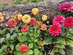 -长春市南湖公园