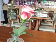 -ELI FALAFEL Lebanese&Mediterranean黎巴嫩美食(富城路店)
