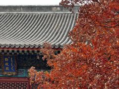 -香山公园