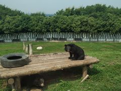 -西安秦岭野生动物园