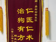 -嘉馨宠物医院·CT影像转诊·心脏科·犬猫全科诊疗中心(下沙大学城院区)