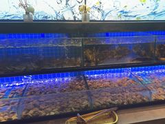 -透明思烤·自助烤肉海鲜火锅(东部星悦天地店)
