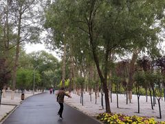-西宁市人民公园(城西区)
