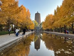 -玲珑塔公园