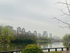 -洋湖国家湿地公园