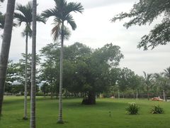 -三亚海棠湾万丽度假酒店